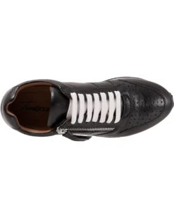 Classy Shoe Store 43 Classy Shoe Store -Classy Shoe Store 81bsq8ijWcS. AC SR736920